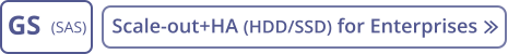 GS (SAS) Scale-out+HA (HDD/SSD) for Enterprises