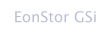 EonStor GSi
