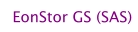 EonStor GS (SAS)