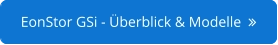 EonStor GSi - Überblick & Modelle  