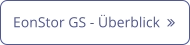 EonStor GS - Überblick  