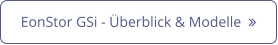 EonStor GSi - Überblick & Modelle  