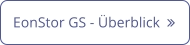 EonStor GS - Überblick  