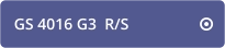 GS 4016 G3  R/S   